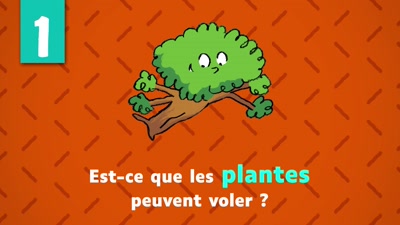 Vidéo BAYAM Questions Maxi Pas Bêtes