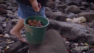 Vidéo OUTRE-MER LE MAG - MARQUISES HUILE DE TAMANU