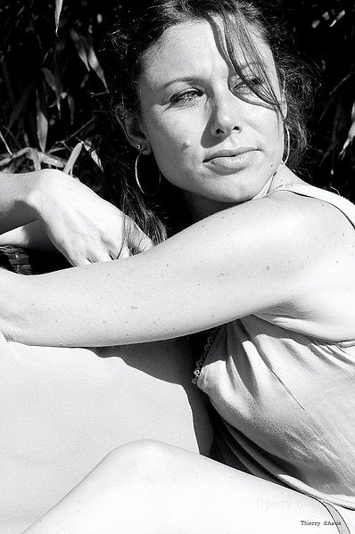 Image Shooting Thierry Dascia