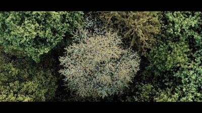 Vidéo Documentary BBC National Geographic (English)