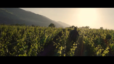 Vidéo FILM PROMOTIONNEL SWISS WINE VALAIS // Colla image Production 