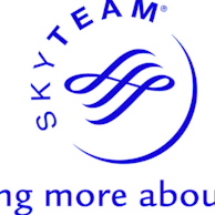 Image Skyteam.png