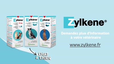 Vidéo PUB TV Zylkene (douce, rassurante, souriante)