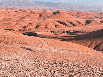 Page de couverture de  Dib