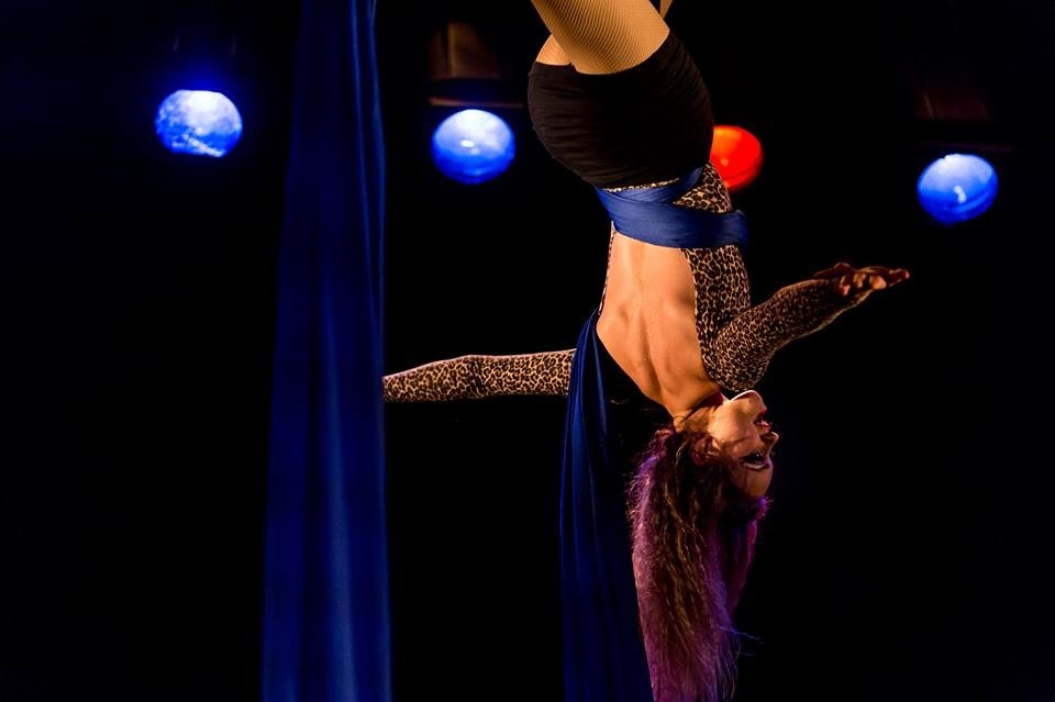 Image Nadolska Circus Show