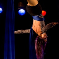 Image Nadolska Circus Show