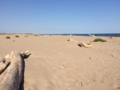 Page de couverture de  Levy