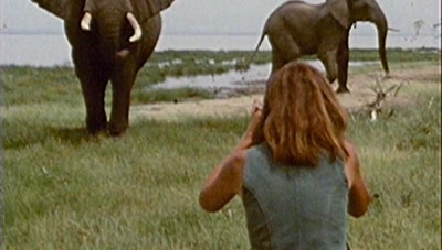 Vidéo F.Devienne doc FR5 Les éléphants perdus de Tombouctou 
