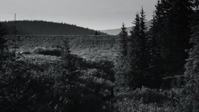 Video Triumph Modern Classics - True Originals Never Settle - ENUK