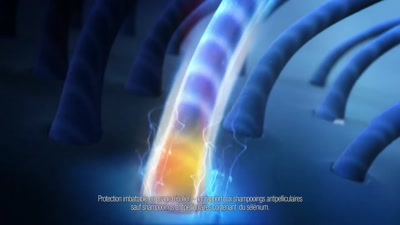 Vidéo Head and shoulders NCarpentier