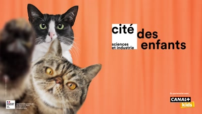 Vidéo Billboards La Cité des Sciences et de l'Industrie
