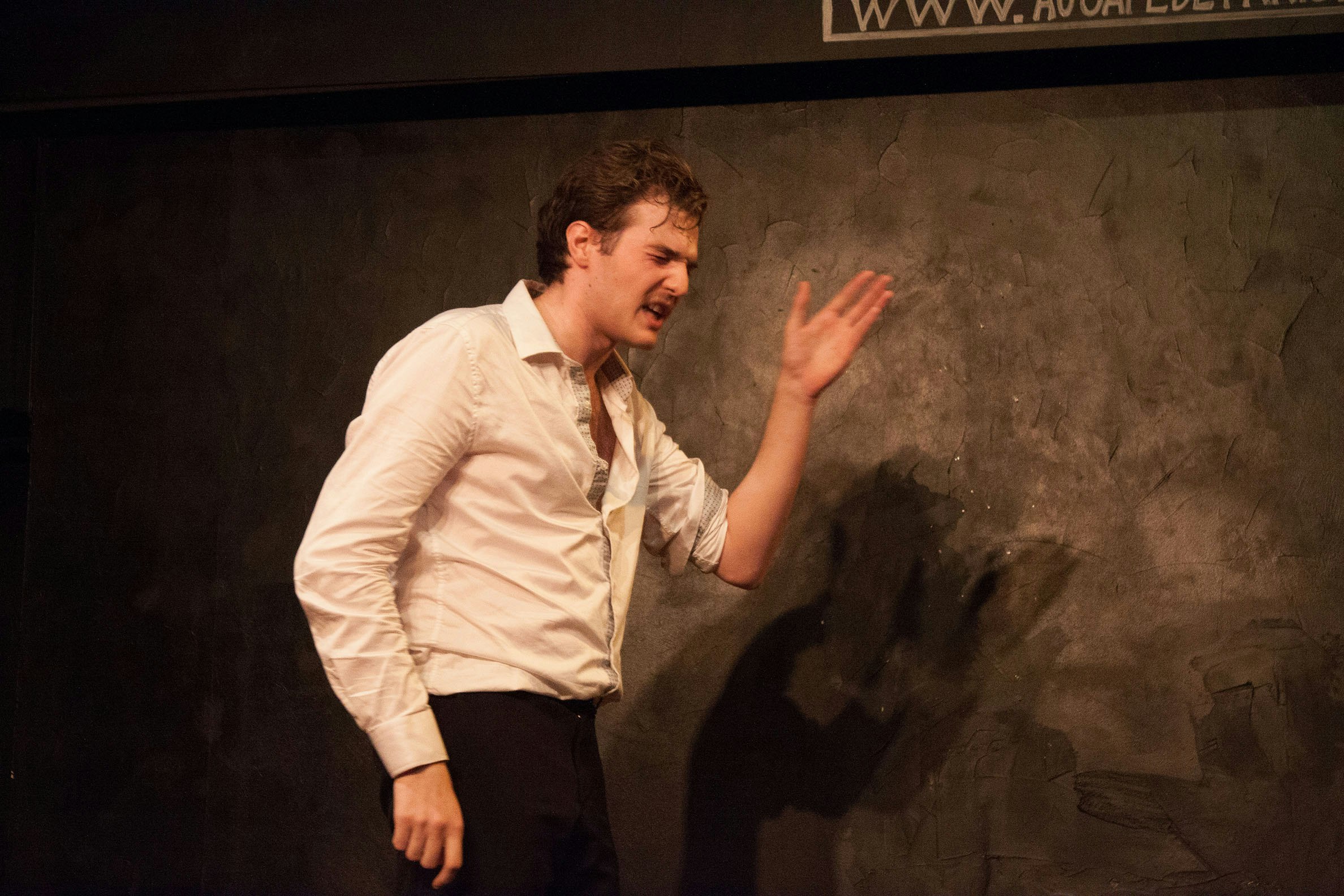 Image Ovide Ledaim in Paradoxes