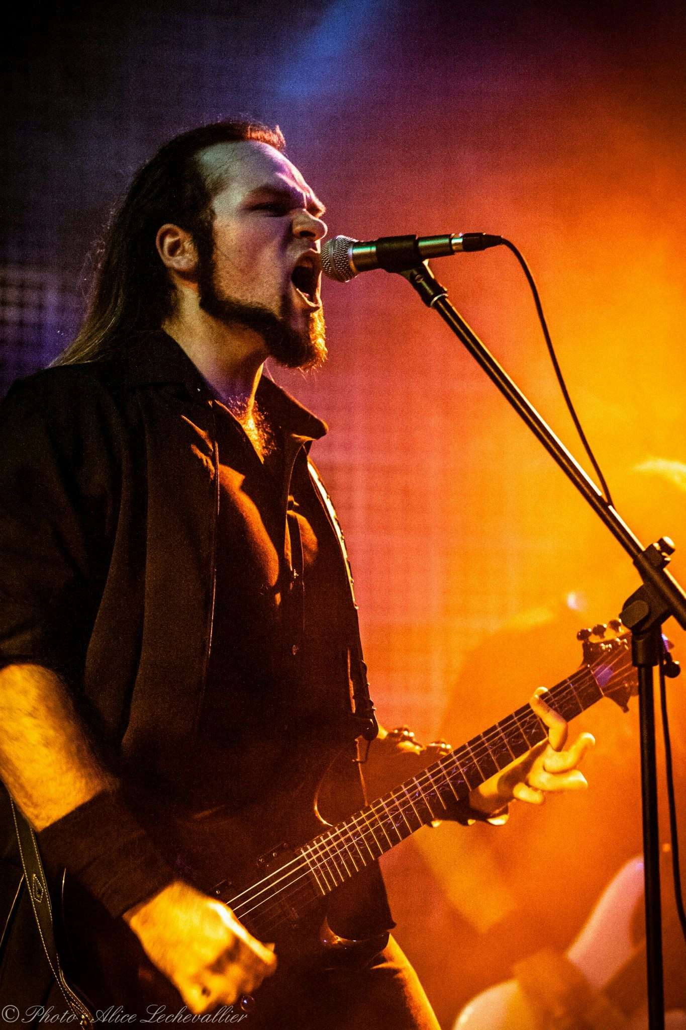 Image Live