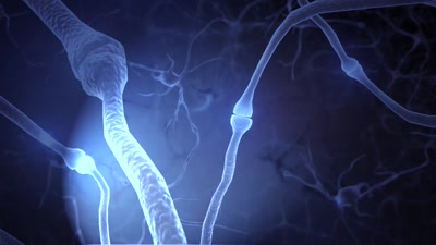 Vidéo EXPLORE 90s 3 2