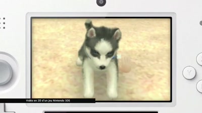 Vidéo NINTENDOGS CARICIAS Spot TV