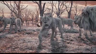 Vidéo DEMO ANIMATION - Sabrina Marchese