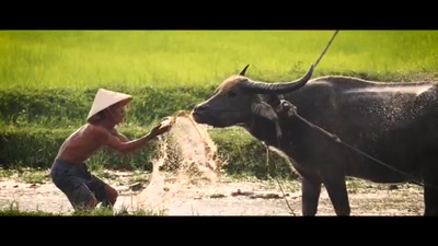 Video Image Film