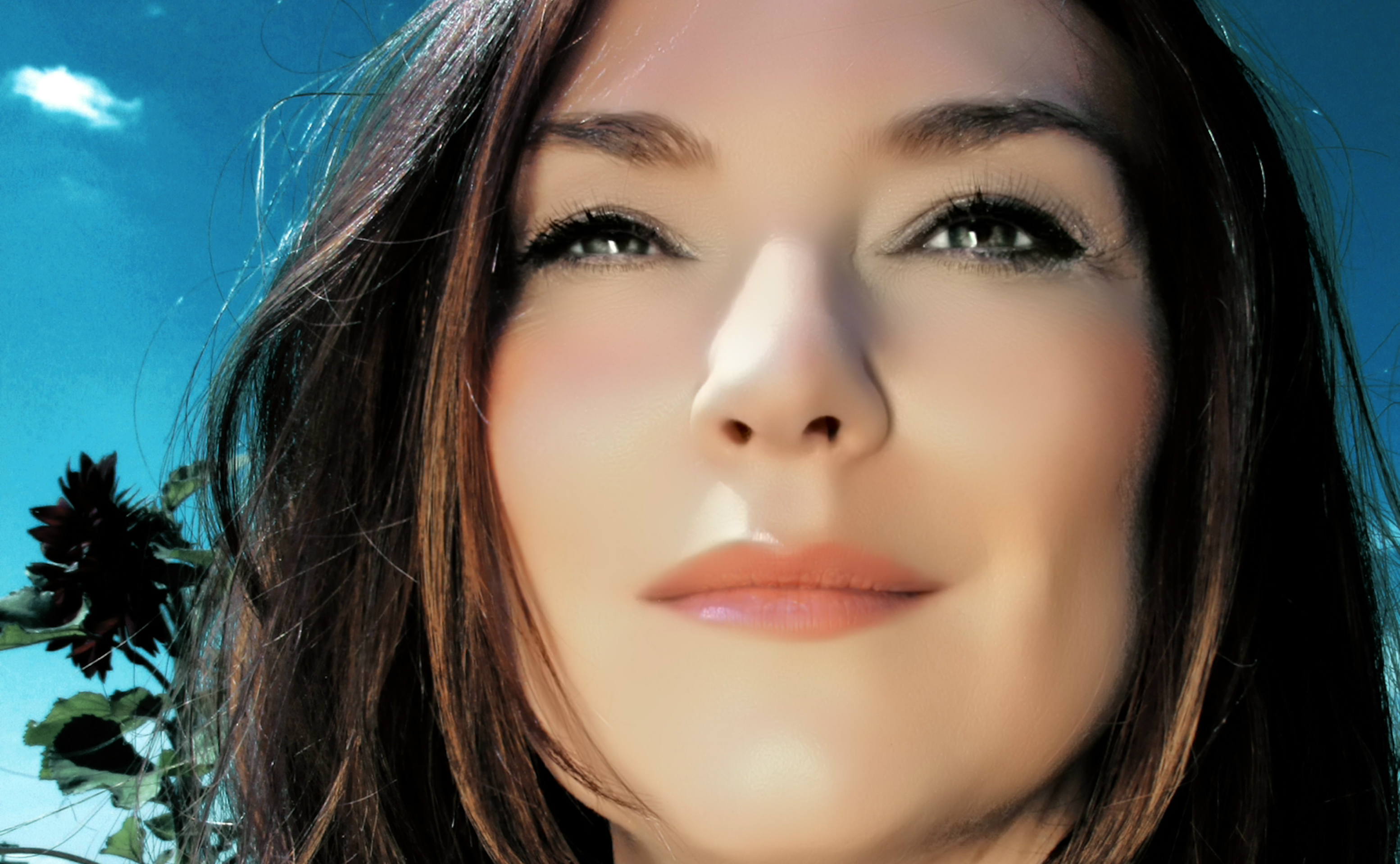 Startseite von  Friedrich