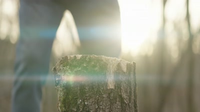 Vidéo La Chenaie Cosmétiques