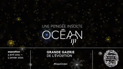 Vidéo BA expo OCEAN Museum d'Histoire Naturelle