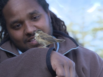 Page de couverture de Kokou