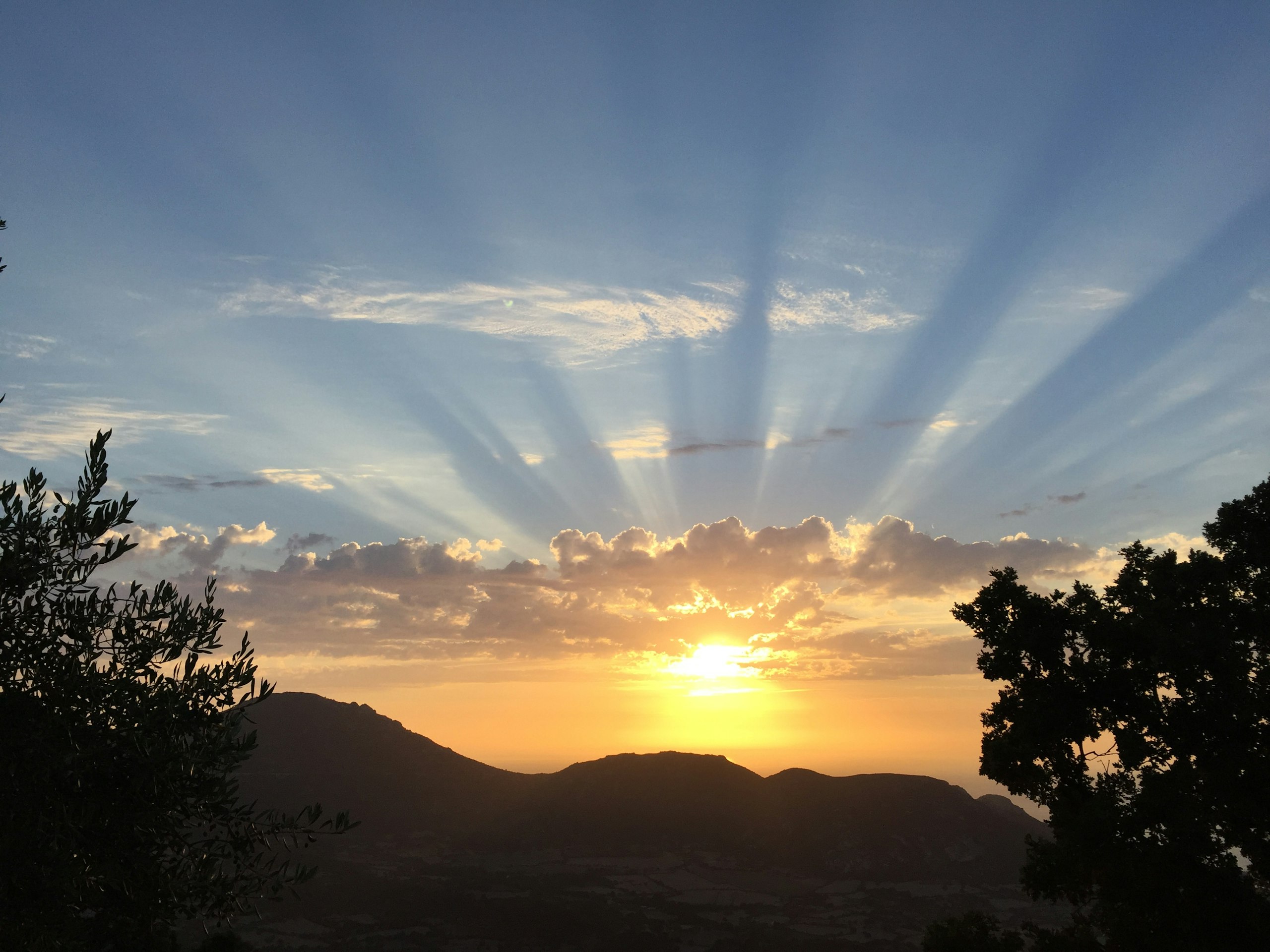 Page de couverture de  Tomé