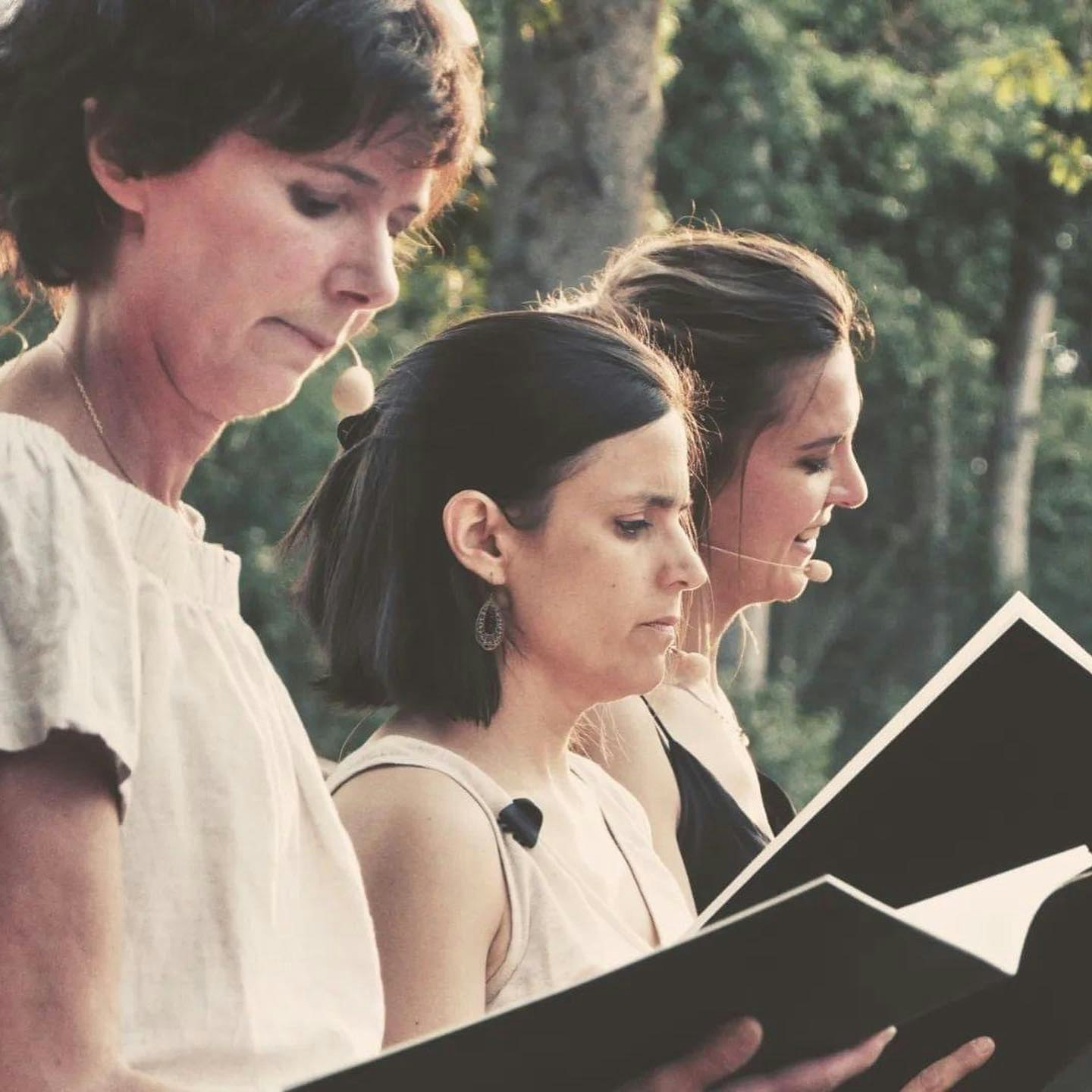 Image Brèves d'archives