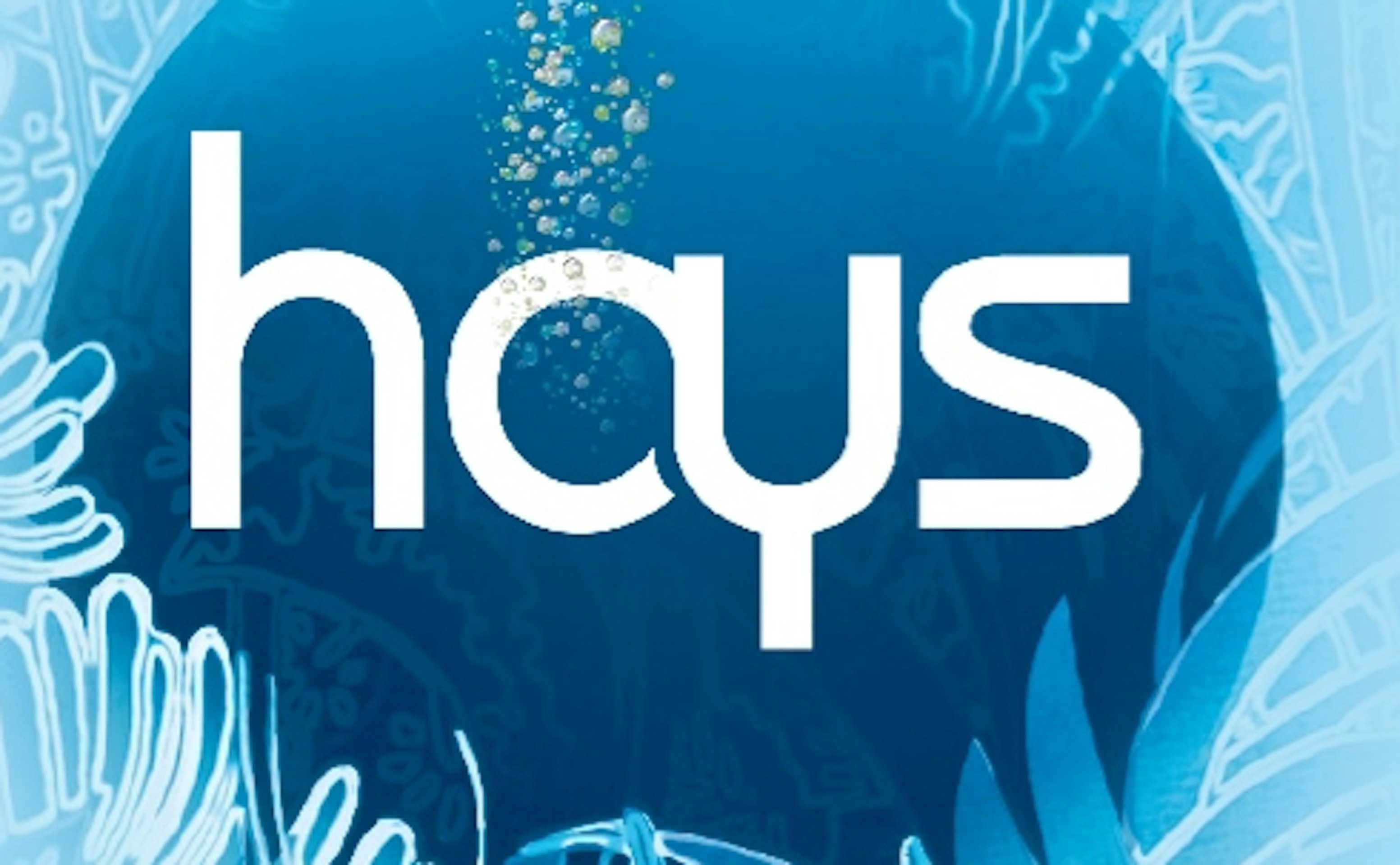 Page de couverture de Hays