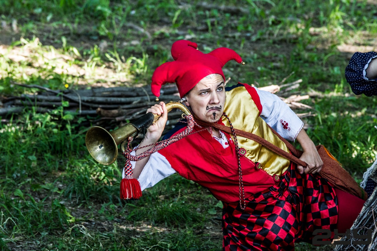 Image Bouffon - Comme il vous plaira - Shakespeare