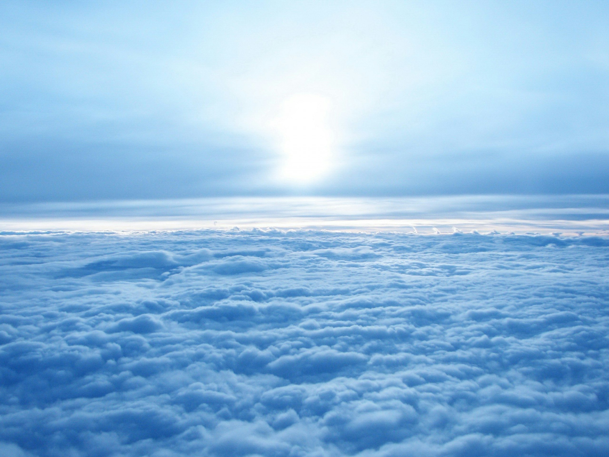 Page de couverture de Amziane