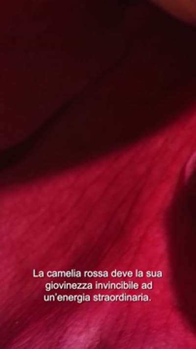 Vidéo CHANEL Officiel - ITALIE