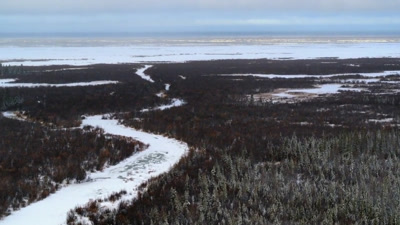 Vidéo Narration ours polaire 'Wild life'