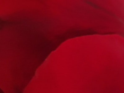 Page de couverture de  Dupuis
