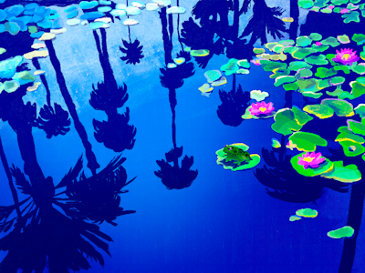 Page de couverture de  Maoui