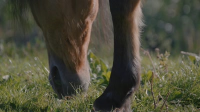 Vidéo Immersion sauvage - Yvan dans l'ouest américain - Ushuaia TV