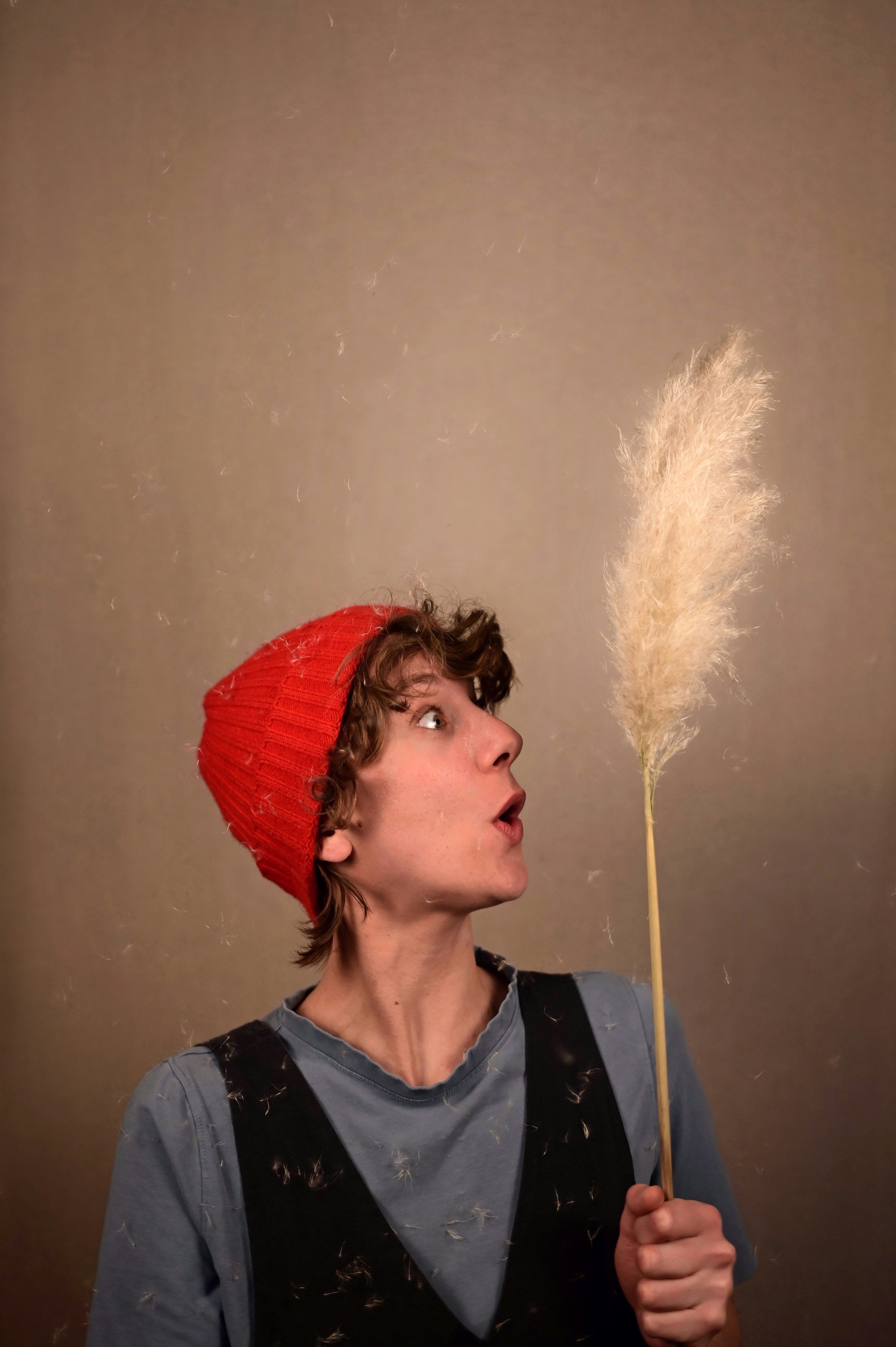 Image ROUGE ET LE LOUP