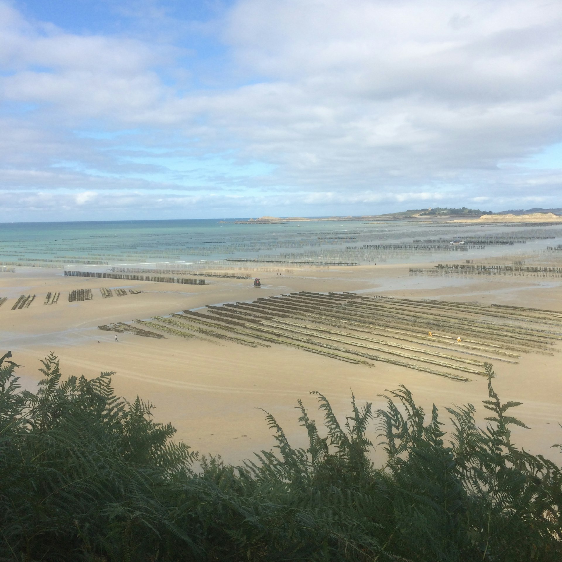 Page de couverture de Huguel