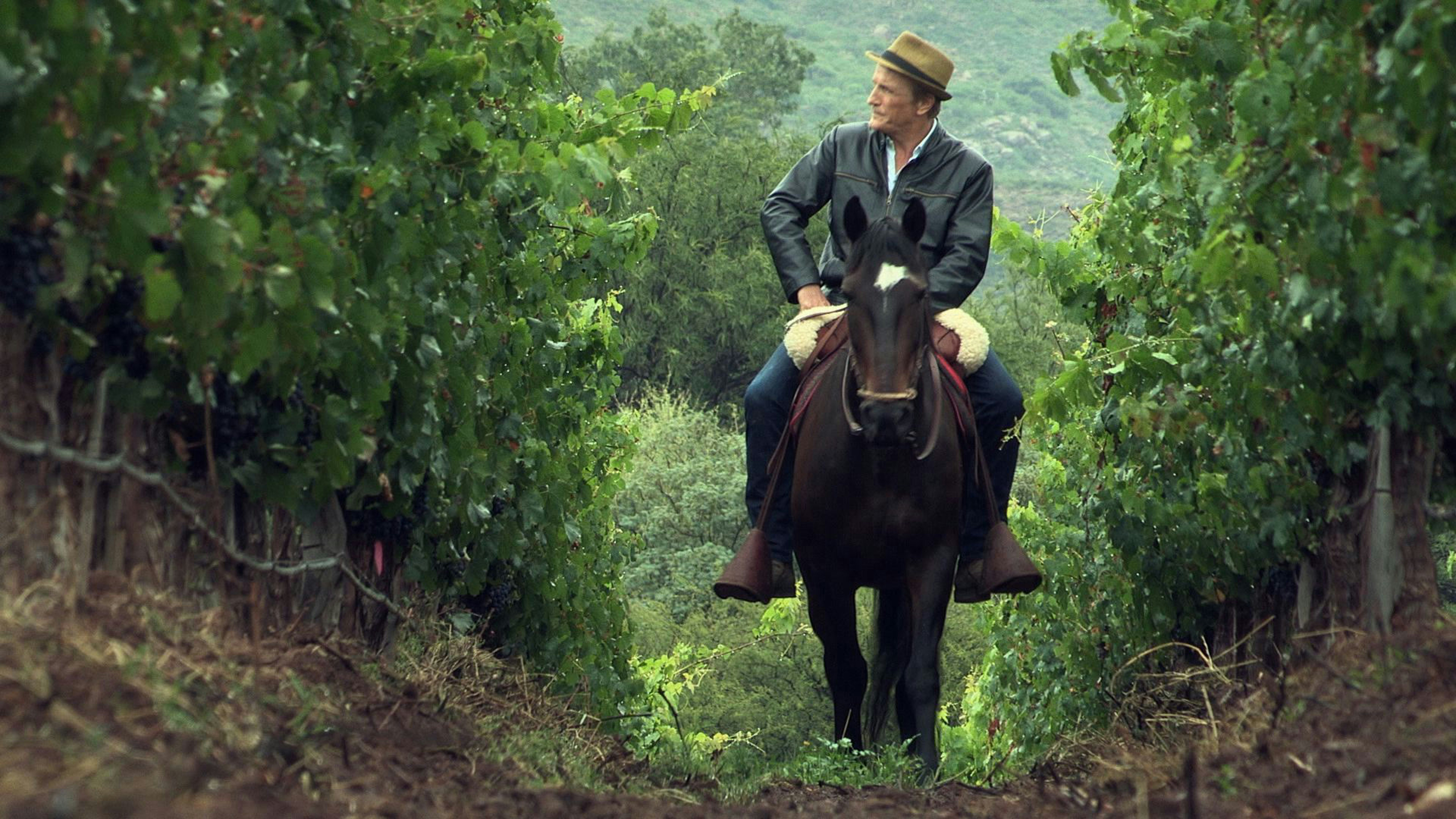 Image "Sur la route des vins" Argentine.jpg