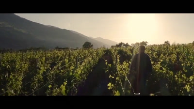 Vidéo Medley 2 Film Promotionnel